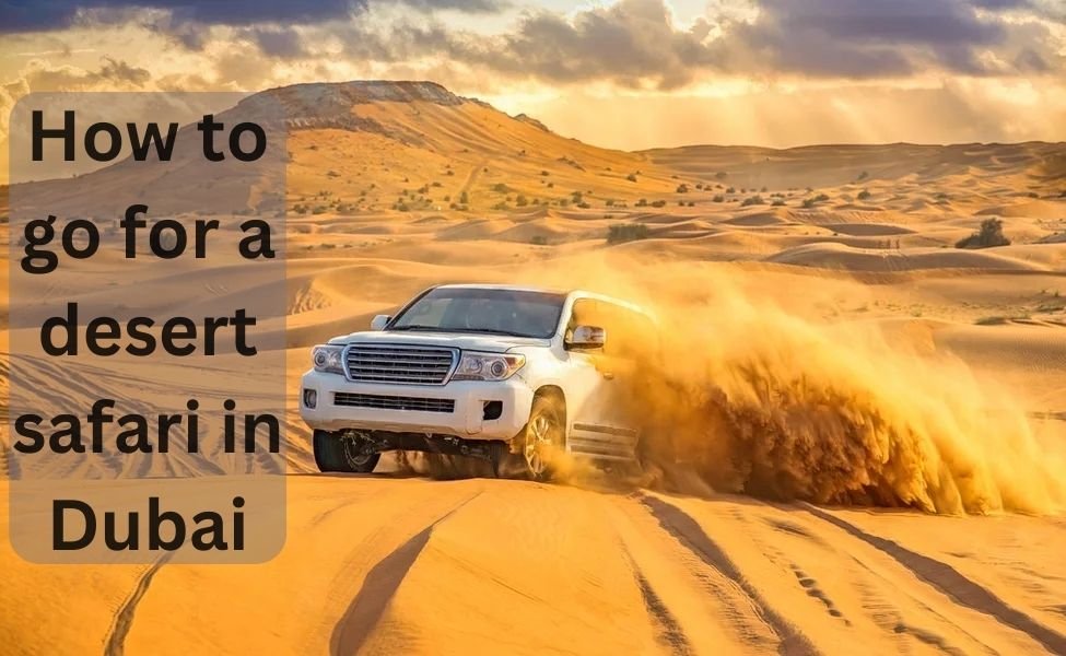 How to go for a Desert Safari in Dubai
