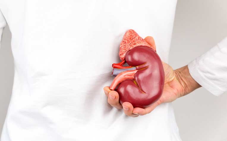 Diagnosing Kidney Failure: How Does It Work?