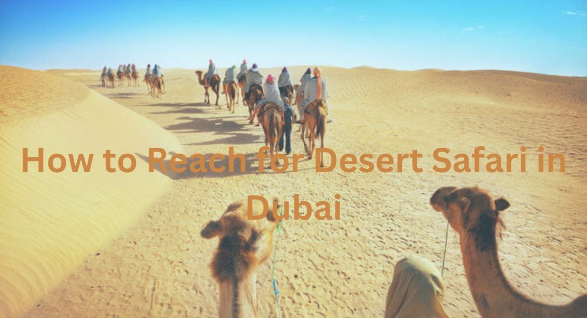 How to Reach for Desert Safari in Dubai?